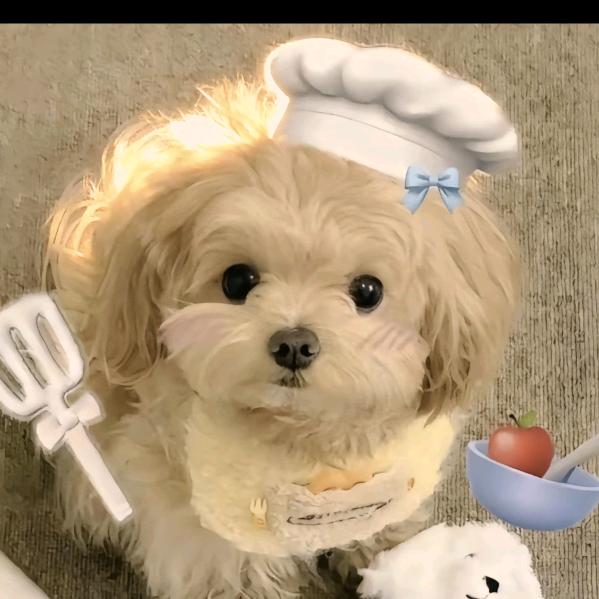 SU！SU！福福-小希✨