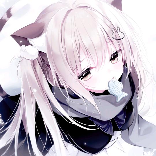 星愿