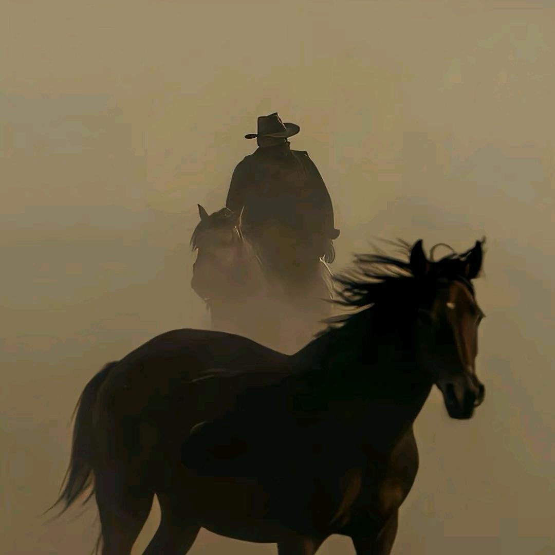 落魄谷中寒风吹