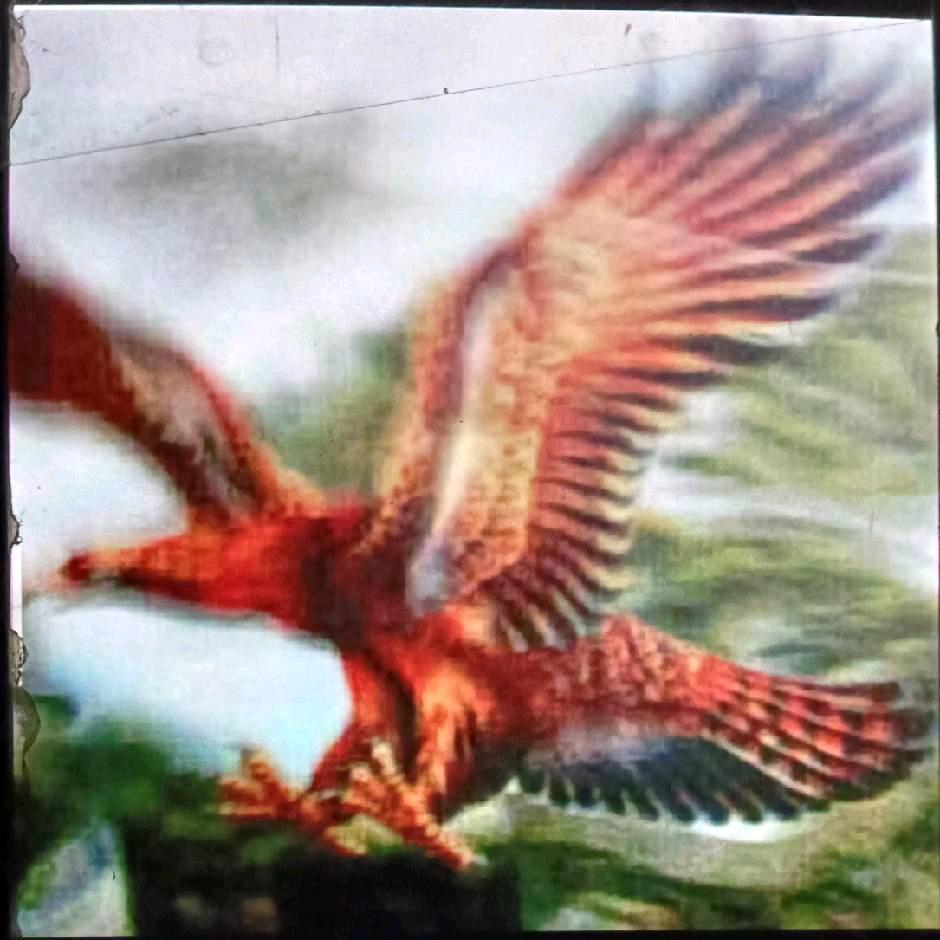 不该让我一个人醉