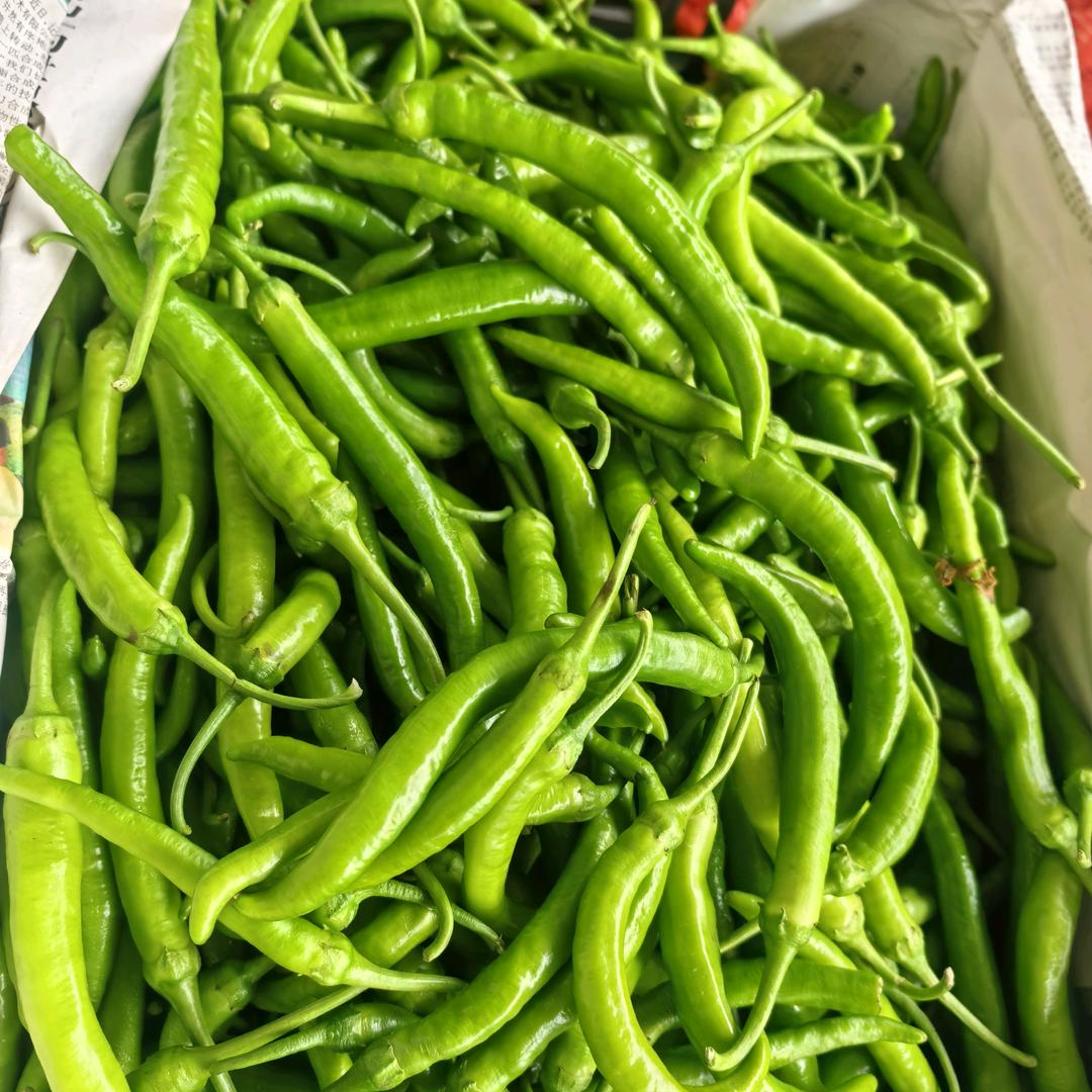 奔波的自己