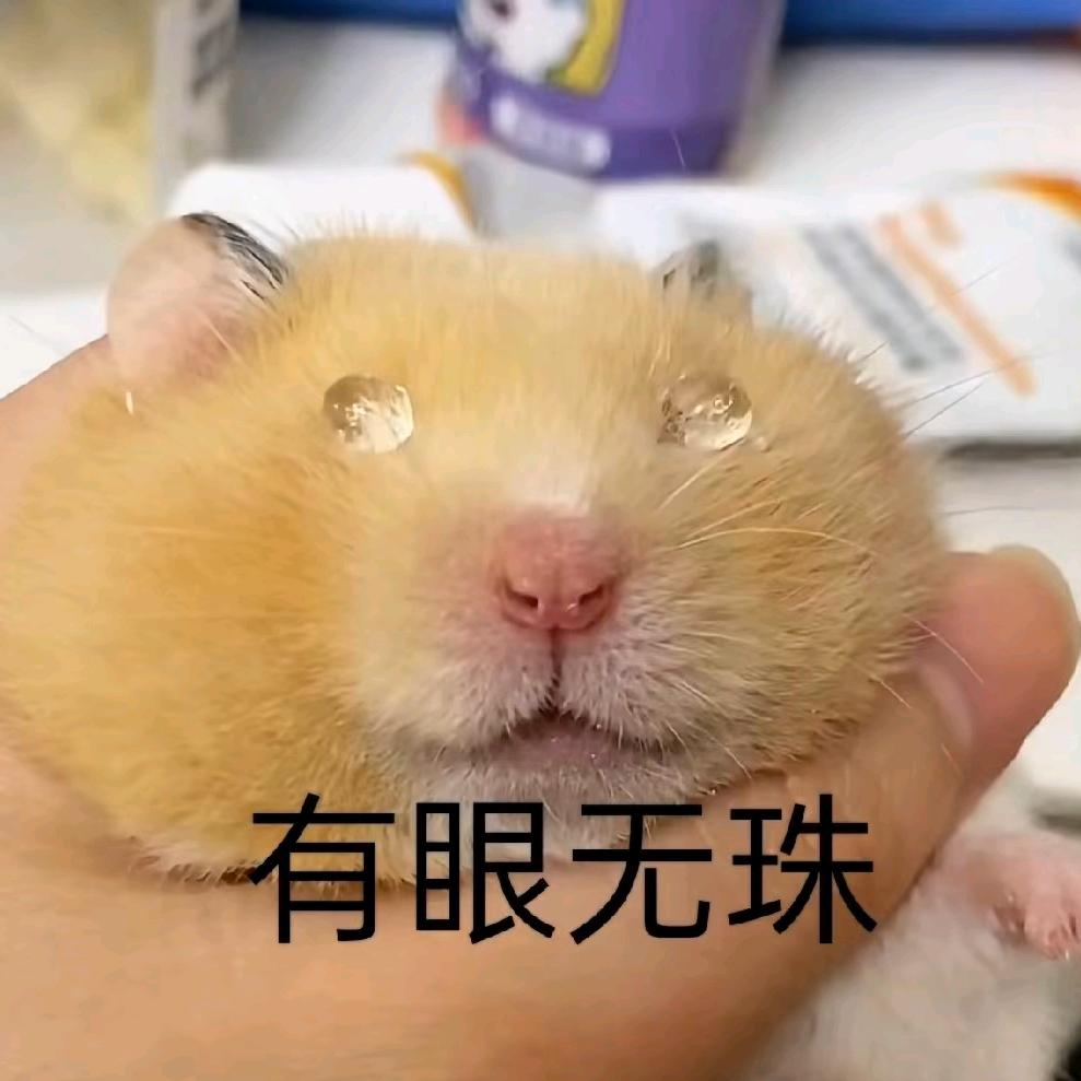 莫名其妙的周先森