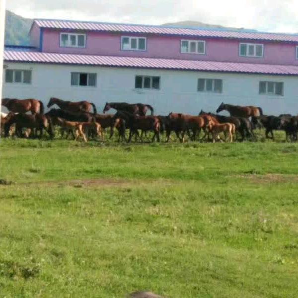 新疆民族一家亲