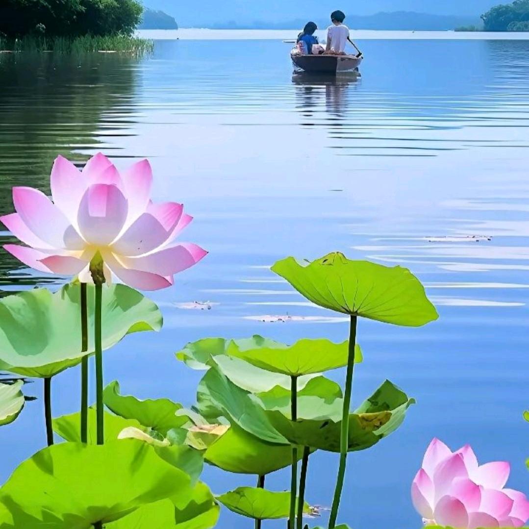 心若向阳！