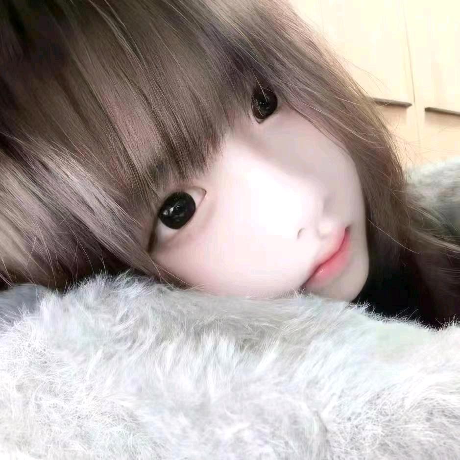 猫猫不困