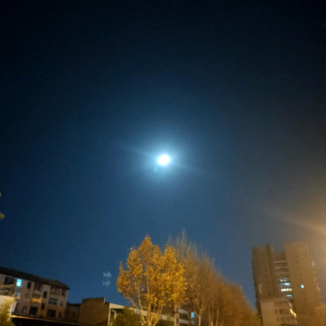 麻