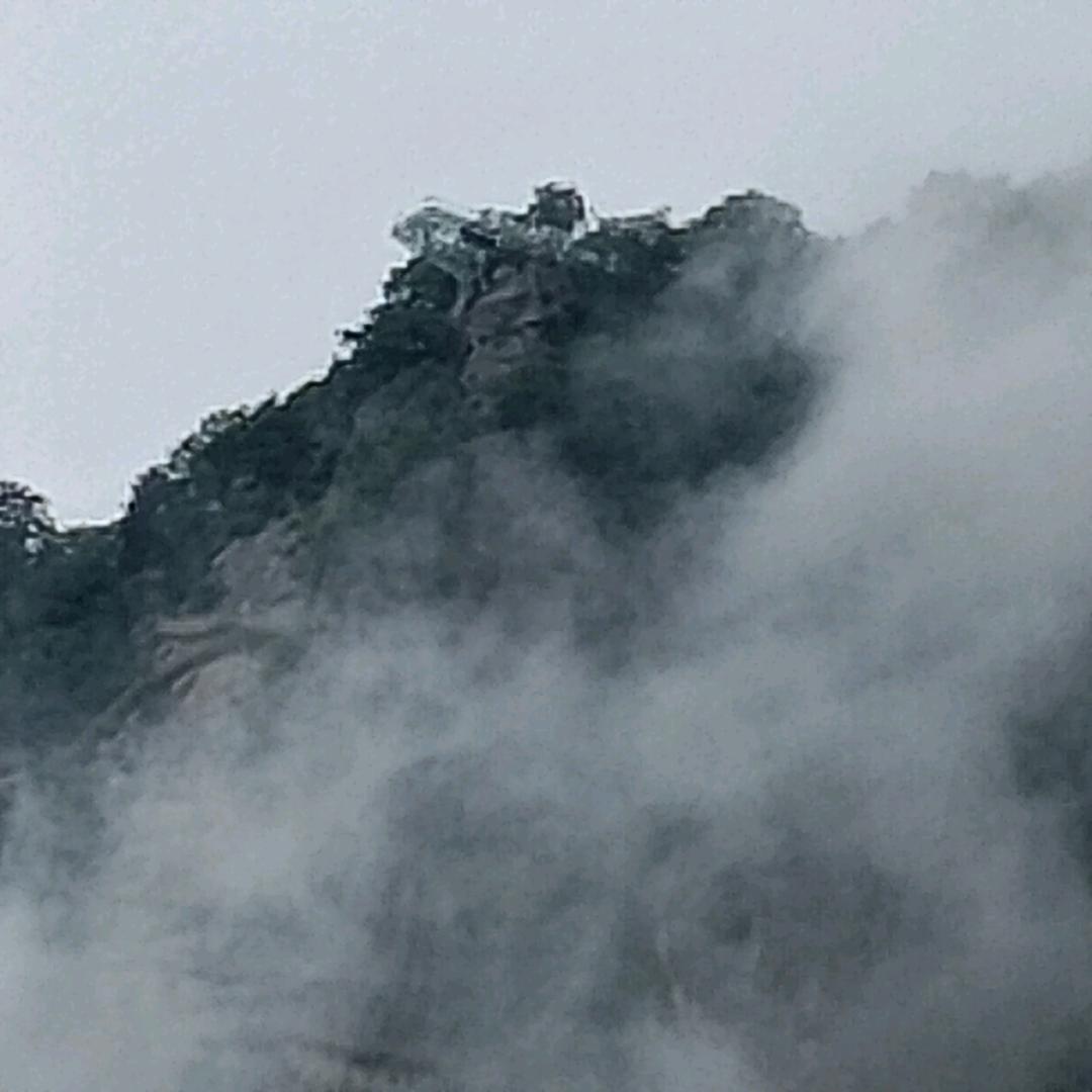梦●)o(●享