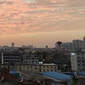 阿文读好书