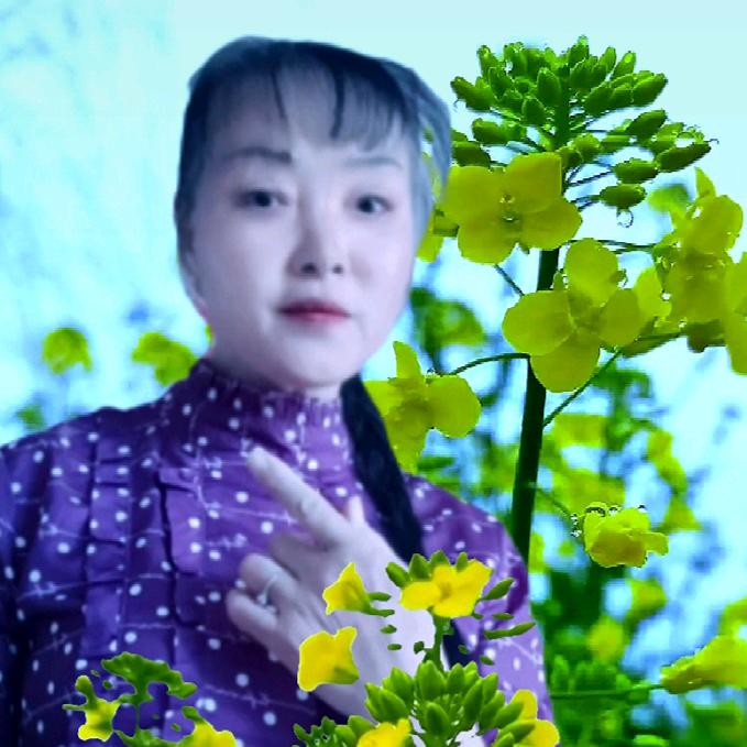 🌹李梅🌹