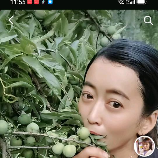 张🌹。姐