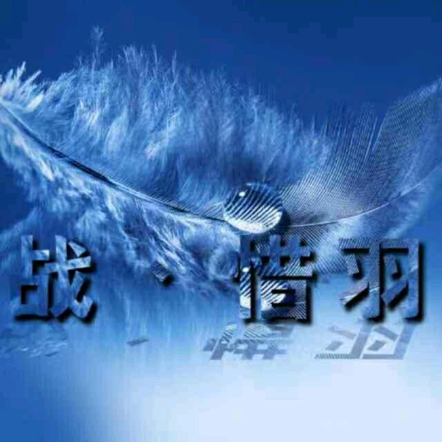 跑刀惜羽(三角洲行动)