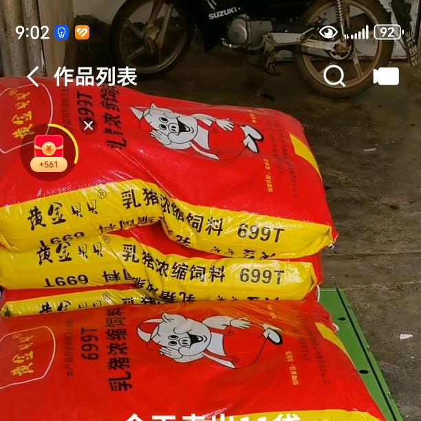 黄金贝贝饲料