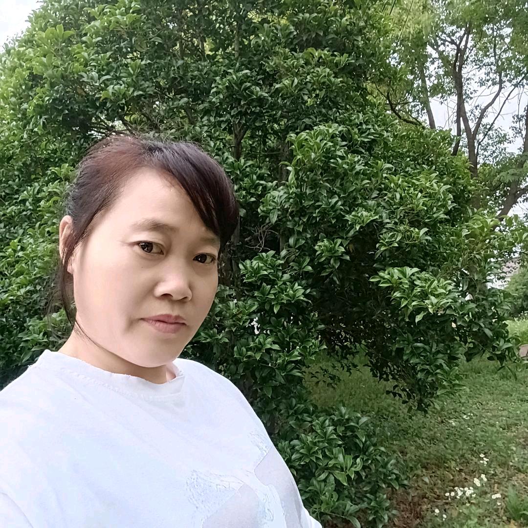 芹姐