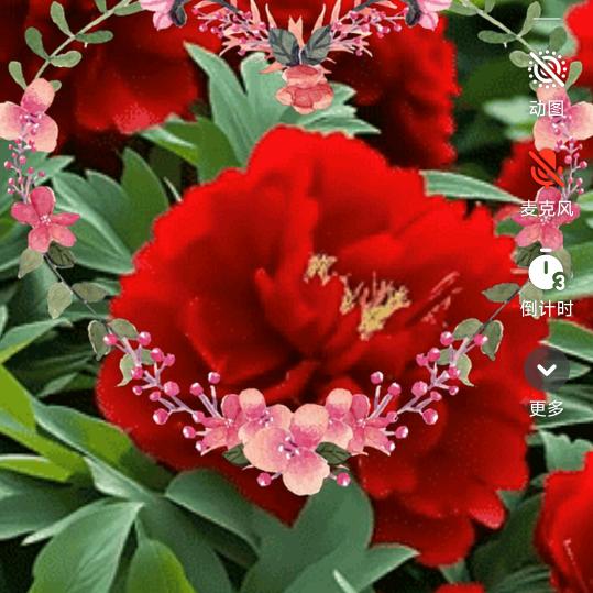 心若浮萍🌹🌹