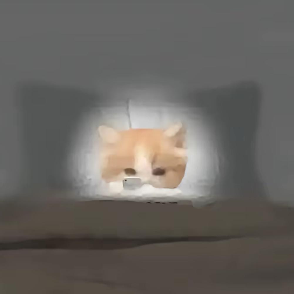 重生之我在云师大当学姐