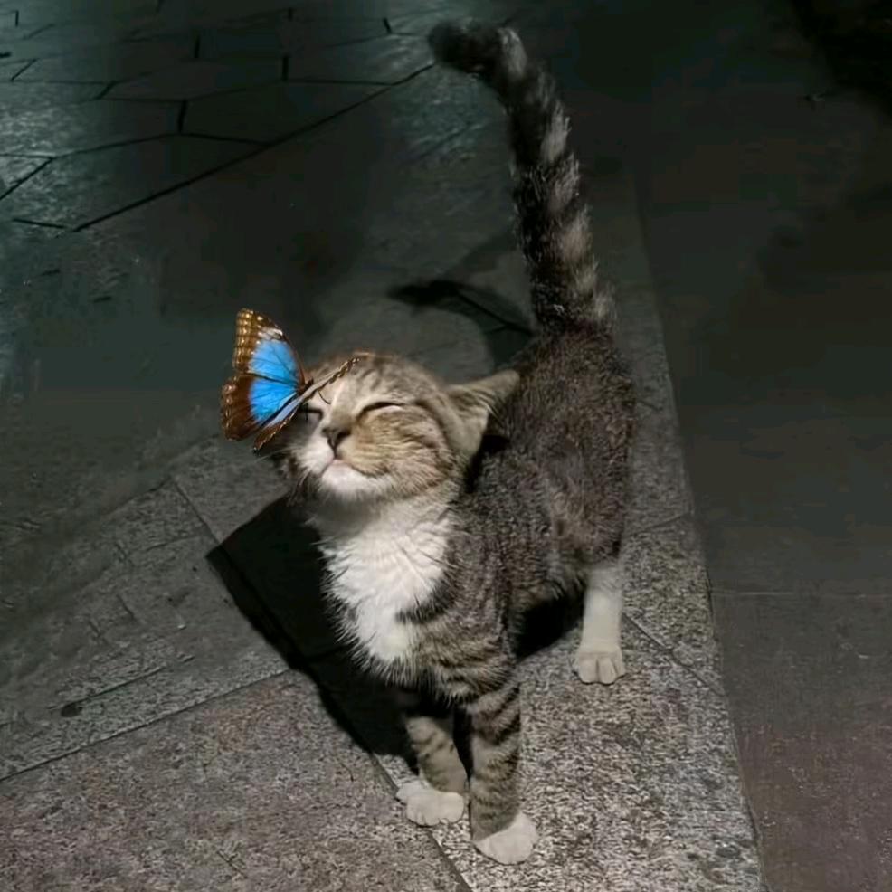 09打野