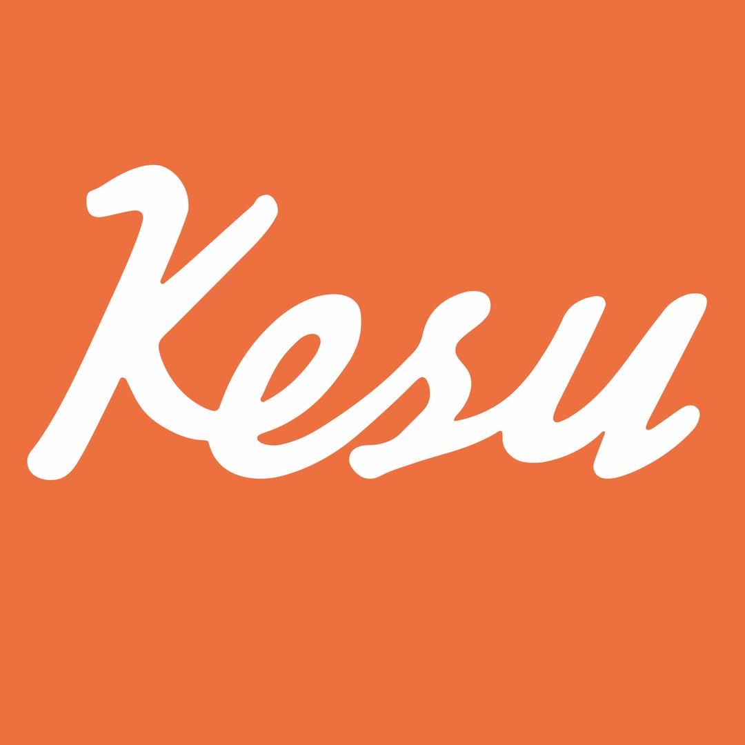 Kesu厨房电器旗舰店