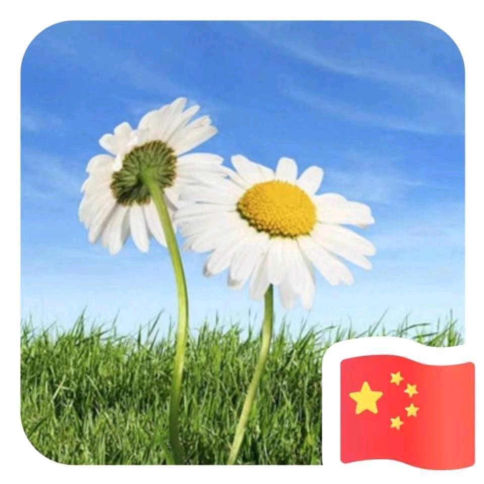 马到成功财源滚滚