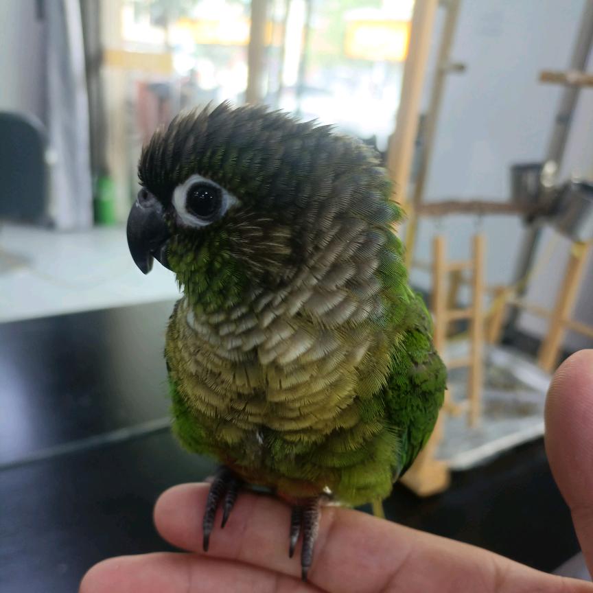 半生回忆半生醒