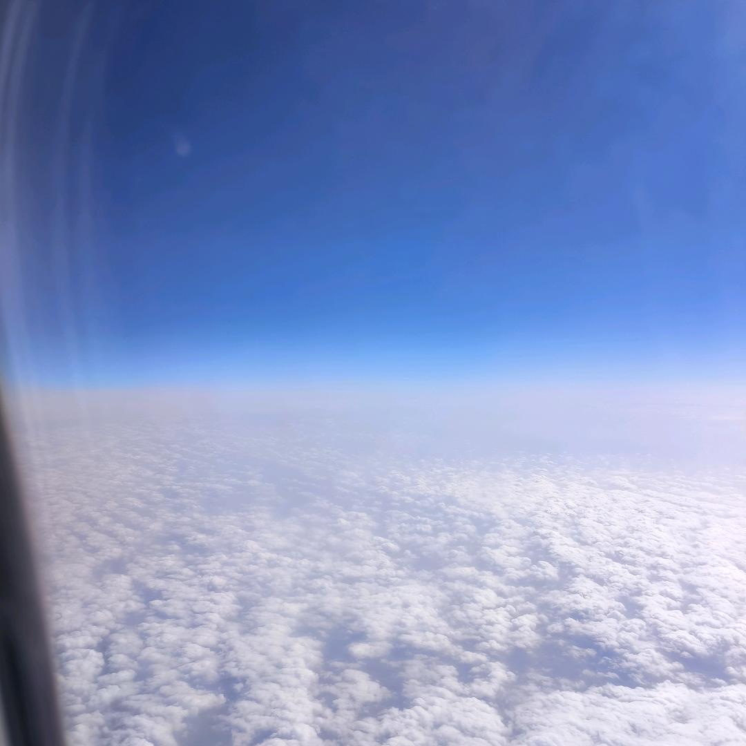 🐯我有故事，你有酒🍺吗