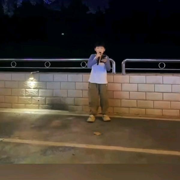 悬林木
