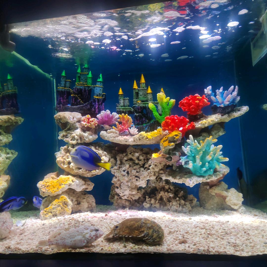 香🚬烟美🍷酒ԅ加☕咖啡