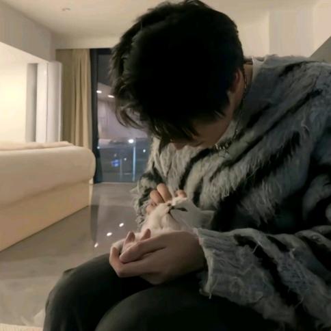 你的目光