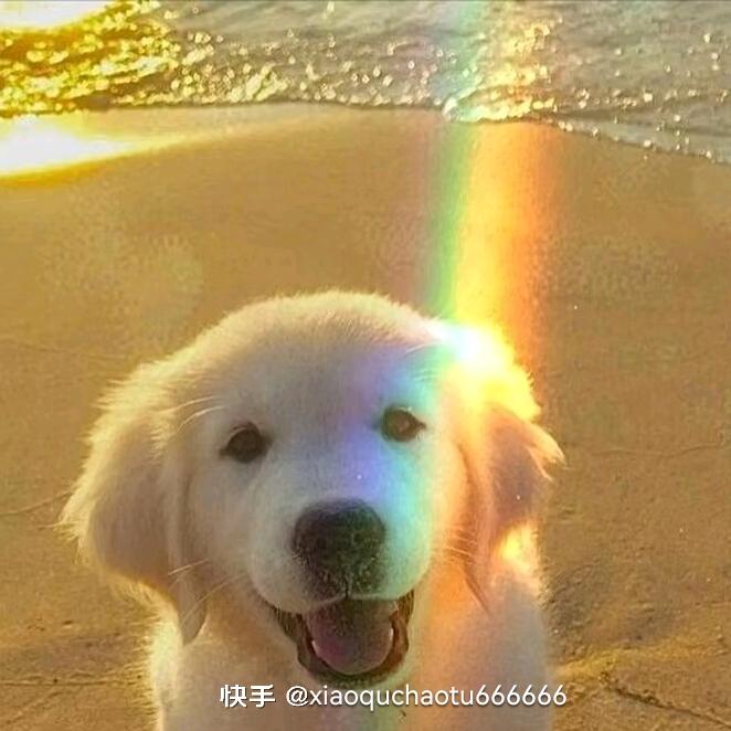 故事与你