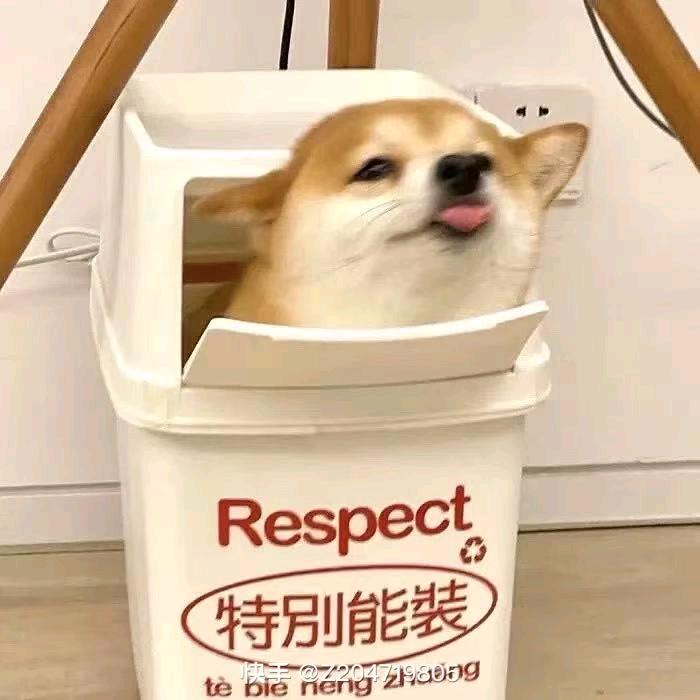 小凯凯凯凯a🔪🌱🔪（后浪）