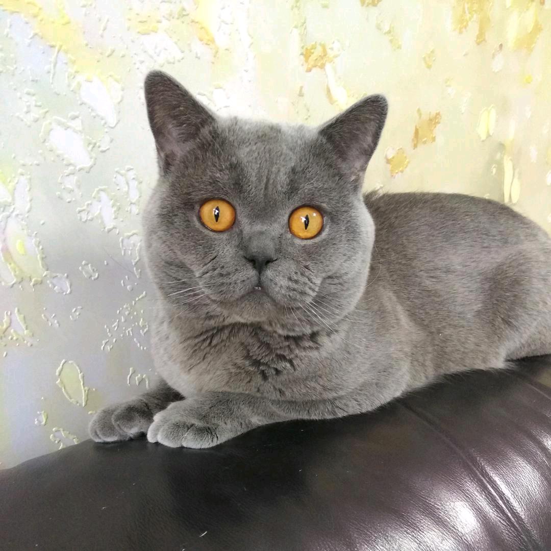 感恩所有的遇見🔥⁹²¹