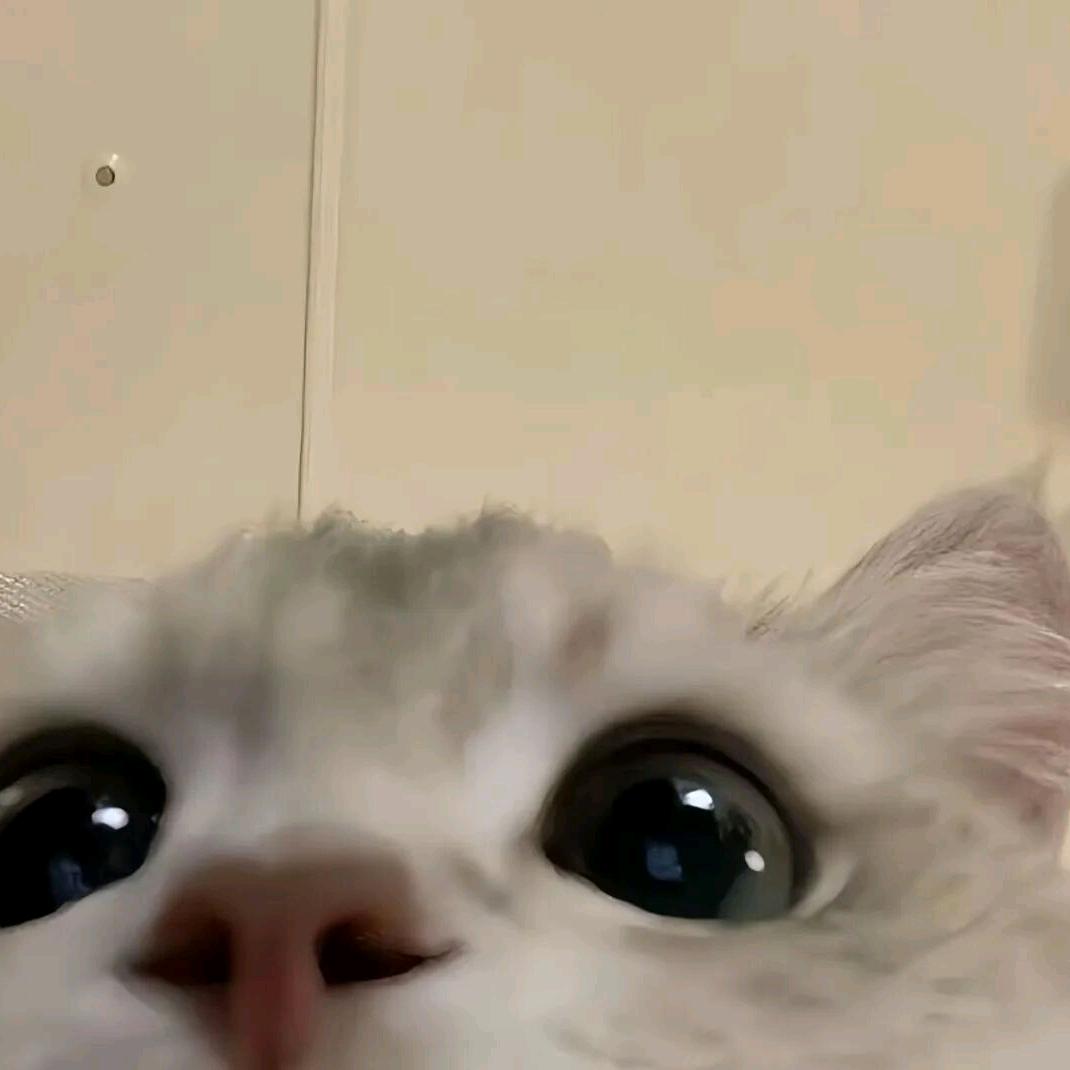 食堂在逃干饭王🍪