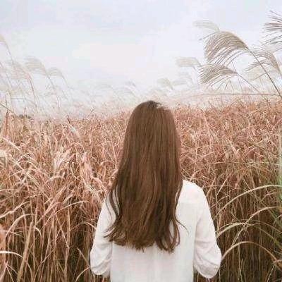 (๑•̌.•๑)可可