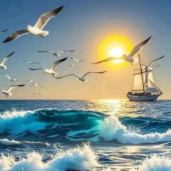 南城¹⁸🐥