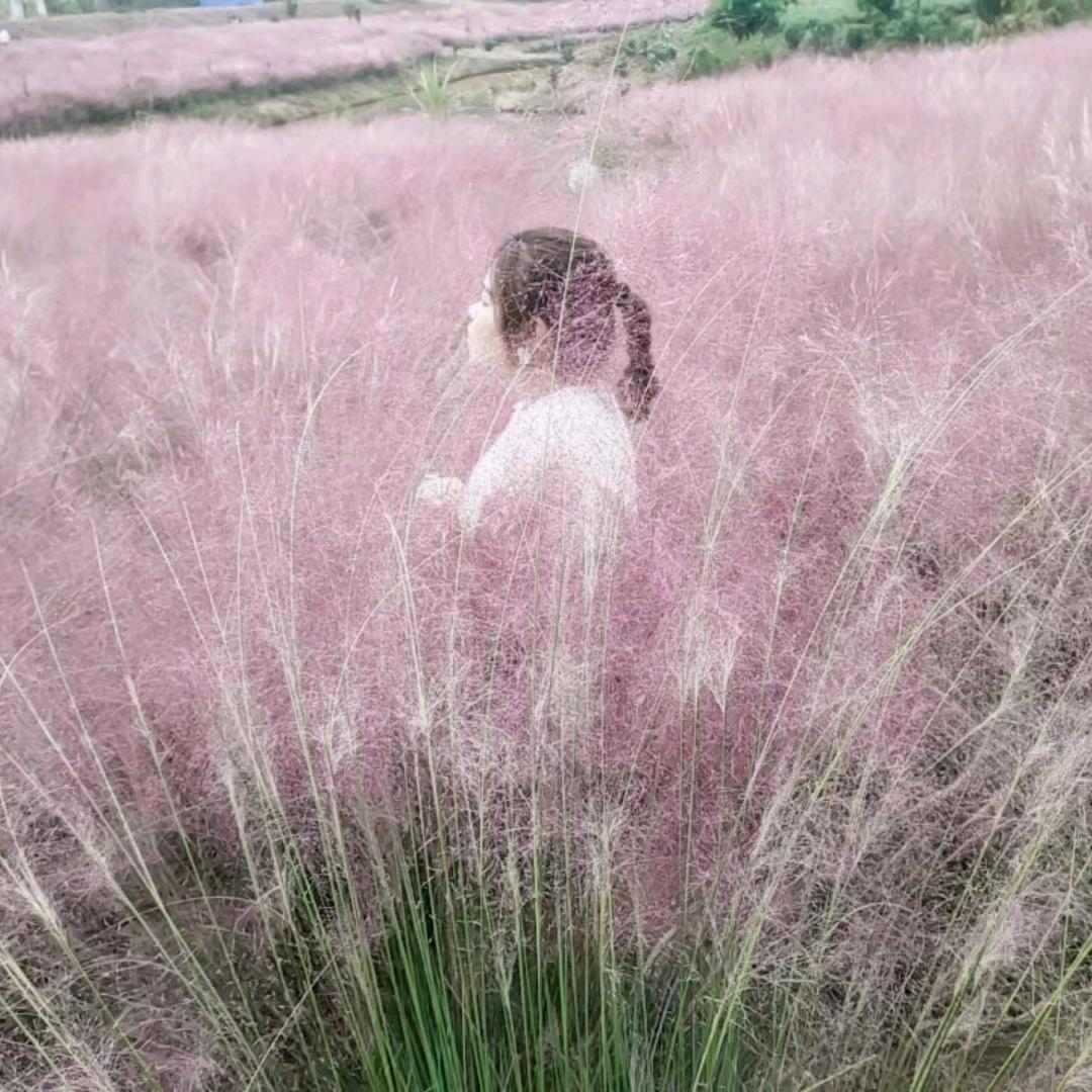 错觉的眼泪
