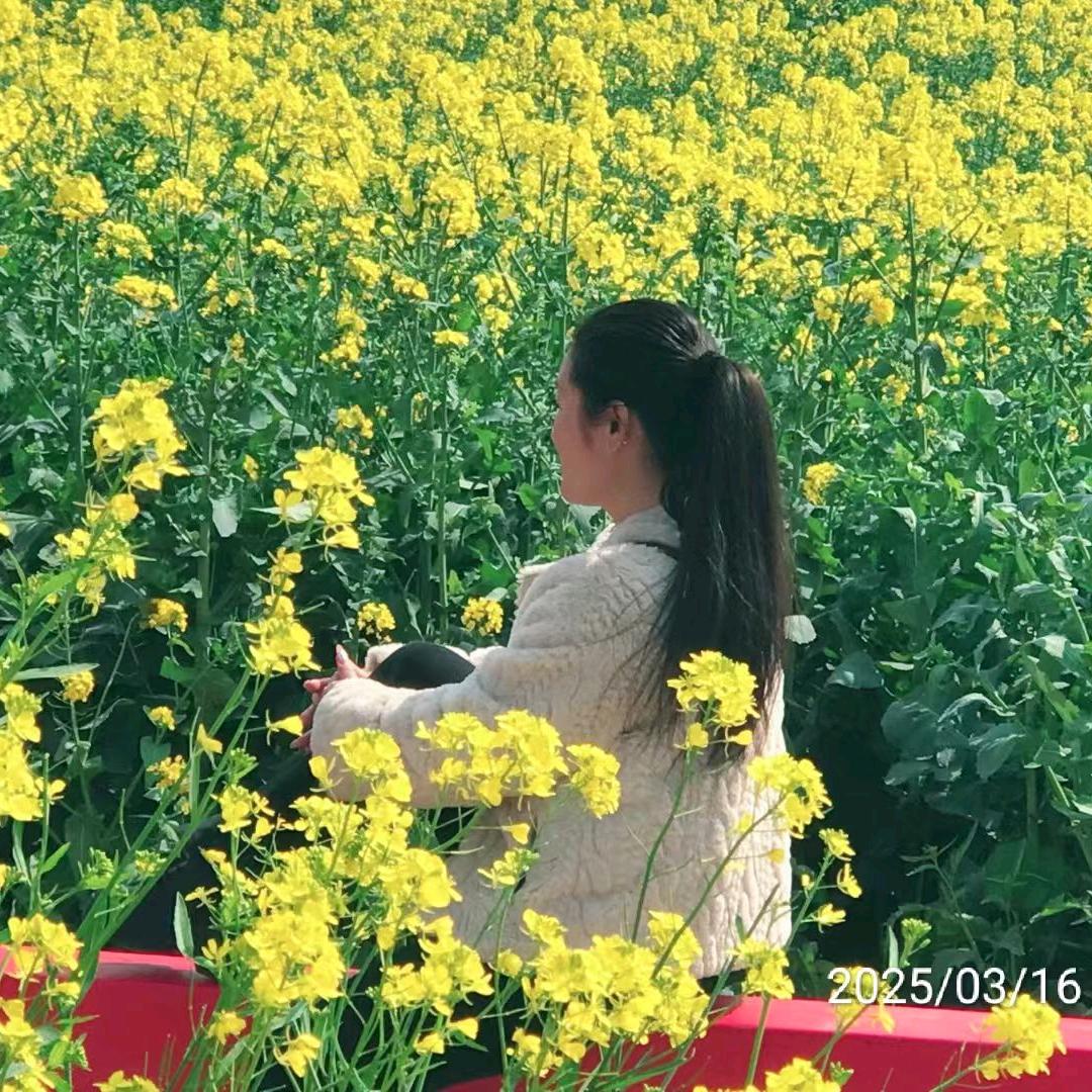 雨润幽兰