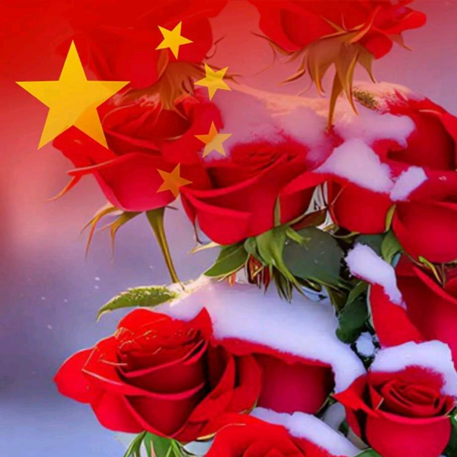 开心玫瑰🌹