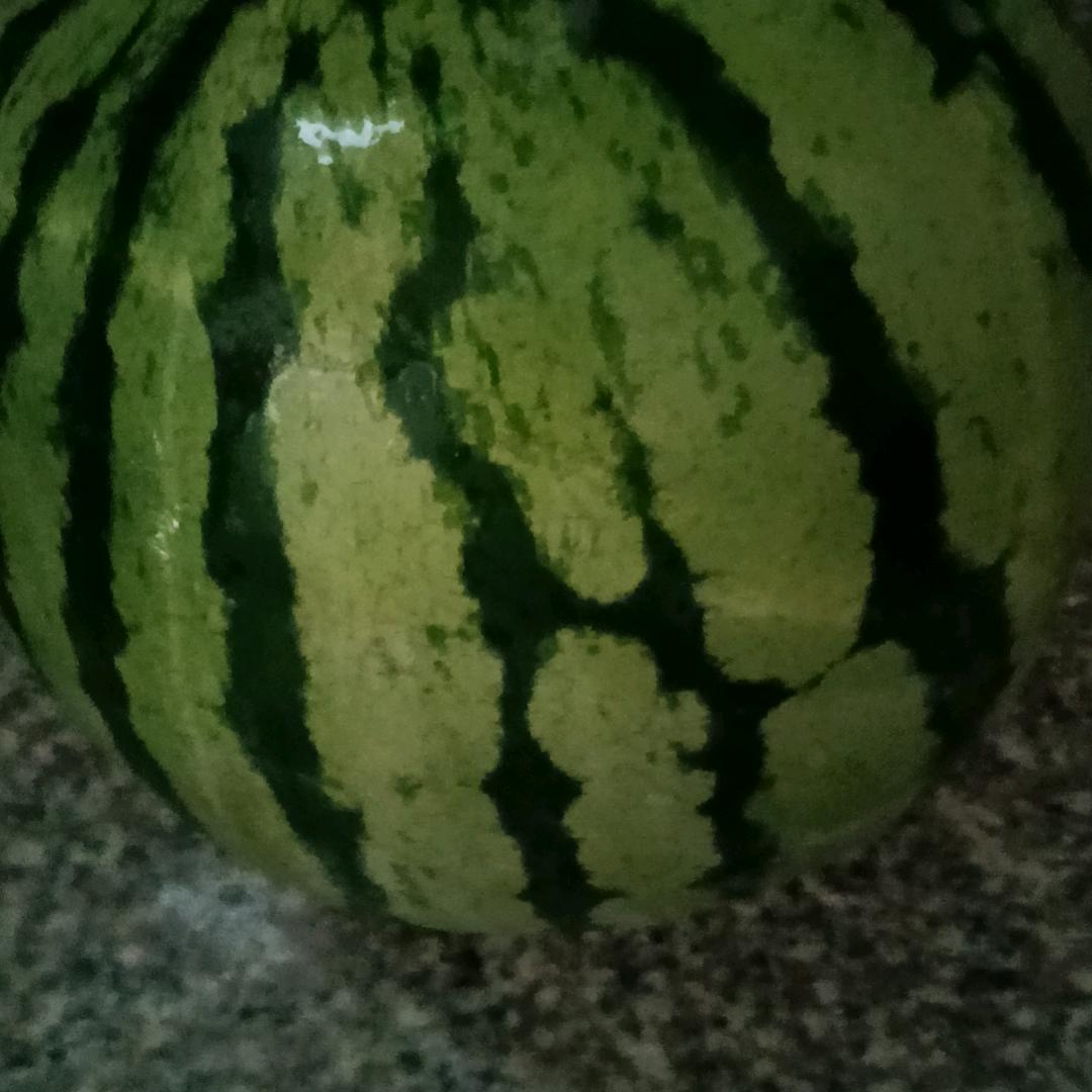 徐哥哥，