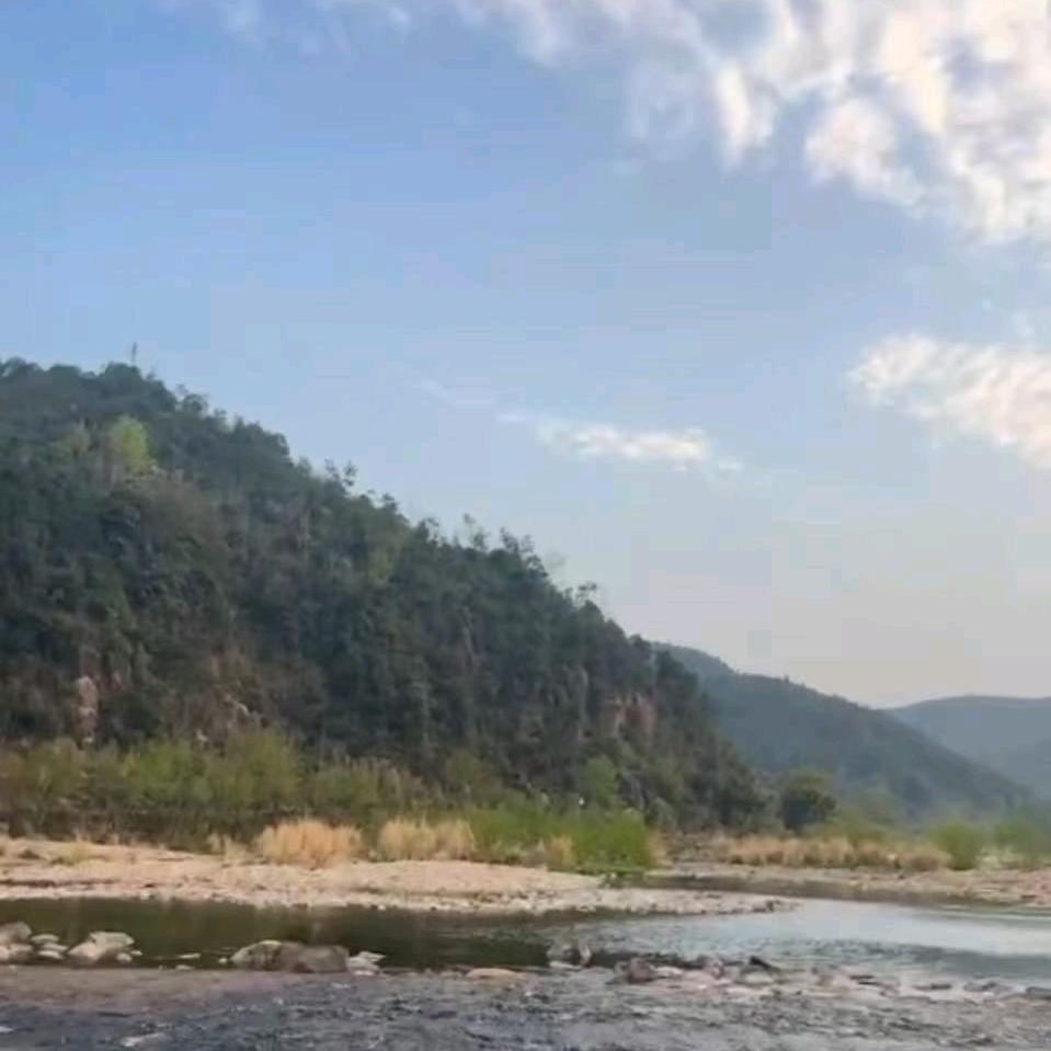 半山观云