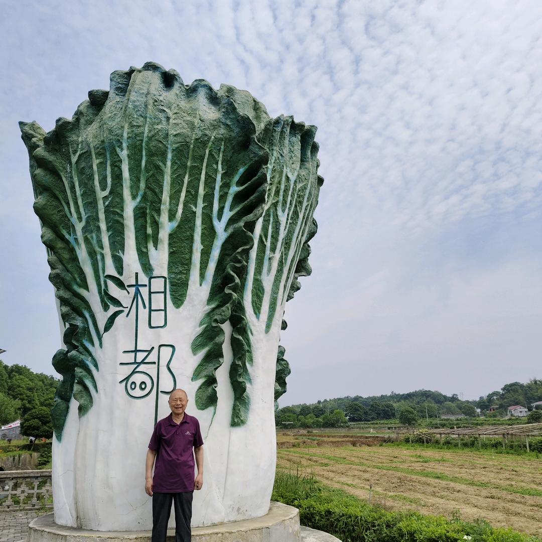 民民