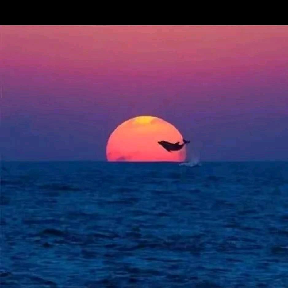那片海
