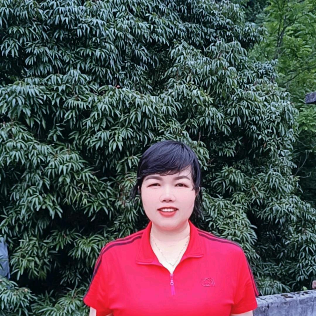 森林的果