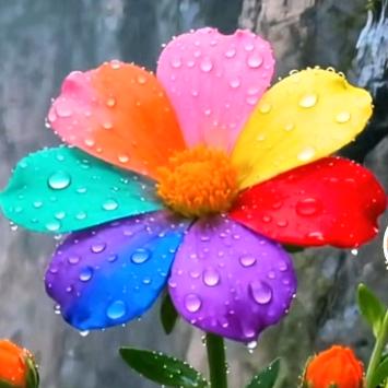 🍎🍎幸运中🍎🍎