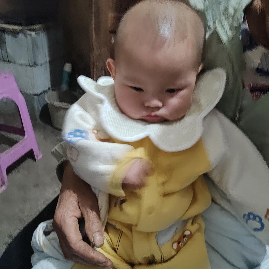 顺理⊙ω⊙成章⊙ω⊙