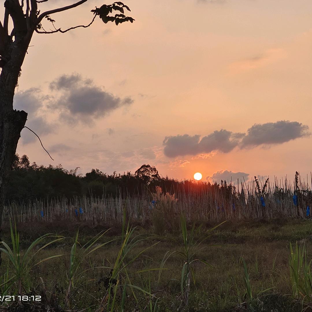 ཉ྄ི༊二傻哈士奇ཉ྄ི༊
