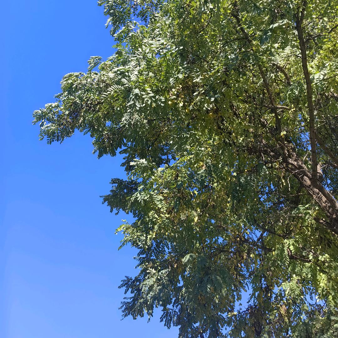 荣邦～有容乃大！