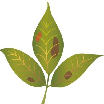 黔龙