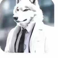 小圣太狼