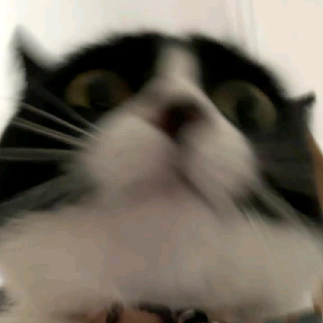 科三挂科二次郎