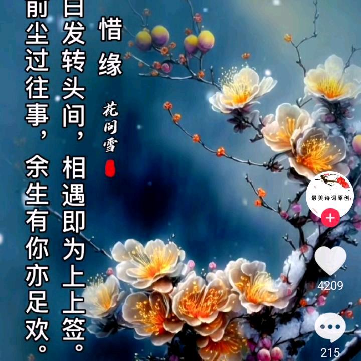 小不点