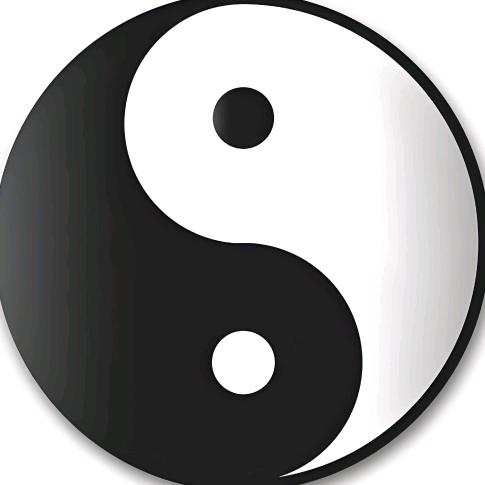 历史的天空8256